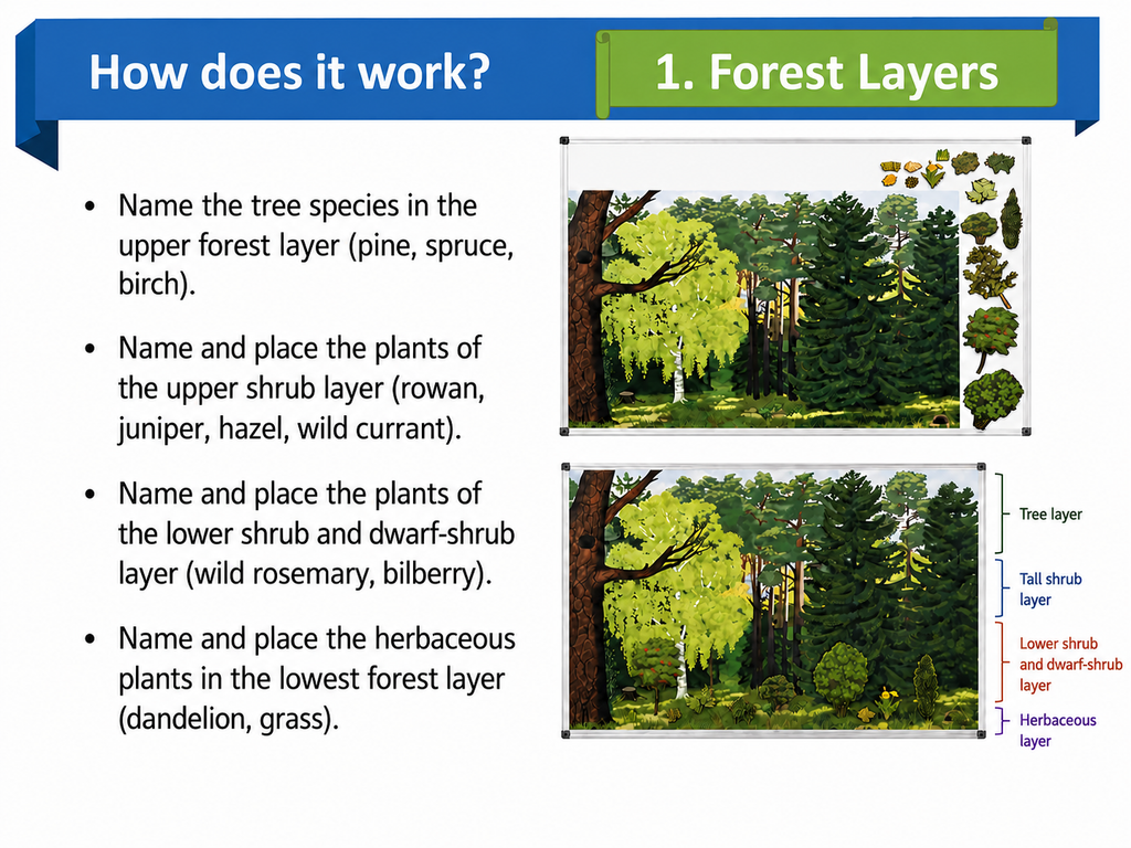 Large Magnetic Nature Game “Forest”