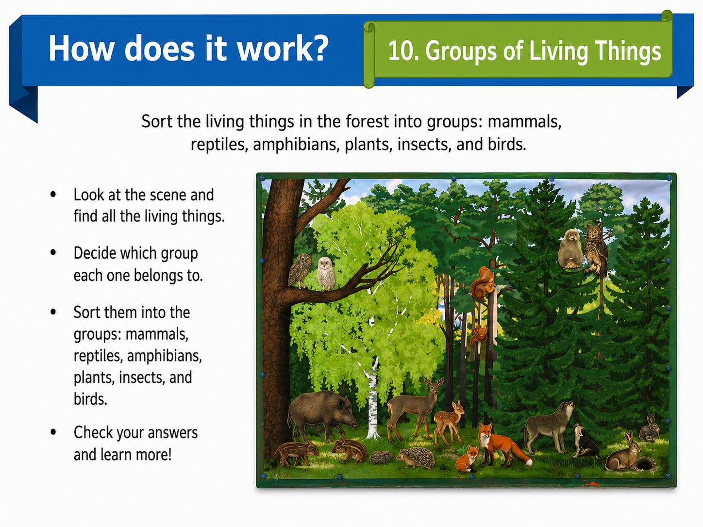 Large Magnetic Nature Game “Forest”