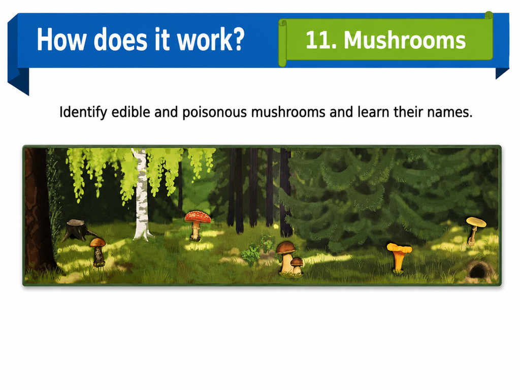 Large Magnetic Nature Game “Forest”