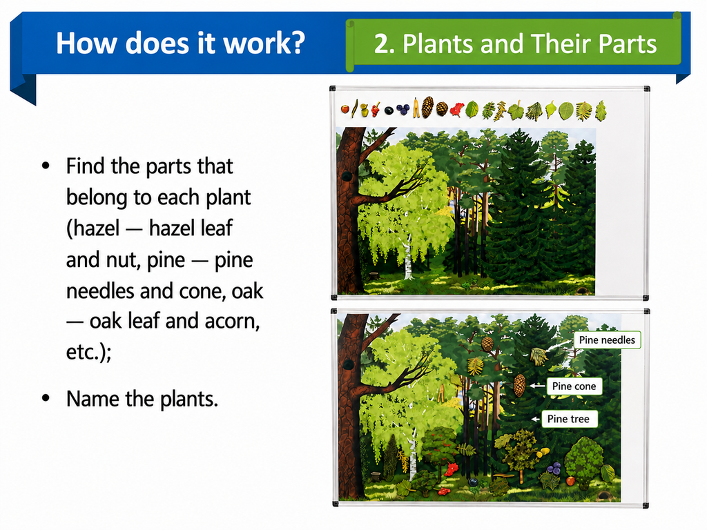 Large Magnetic Nature Game “Forest”