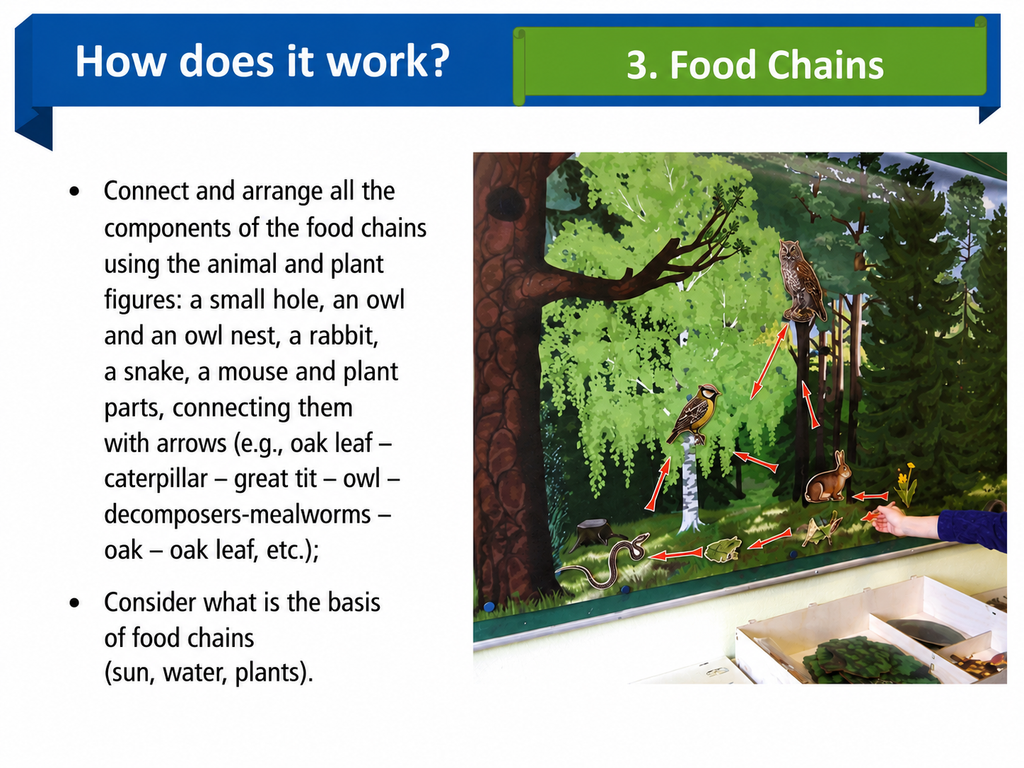 Large Magnetic Nature Game “Forest”