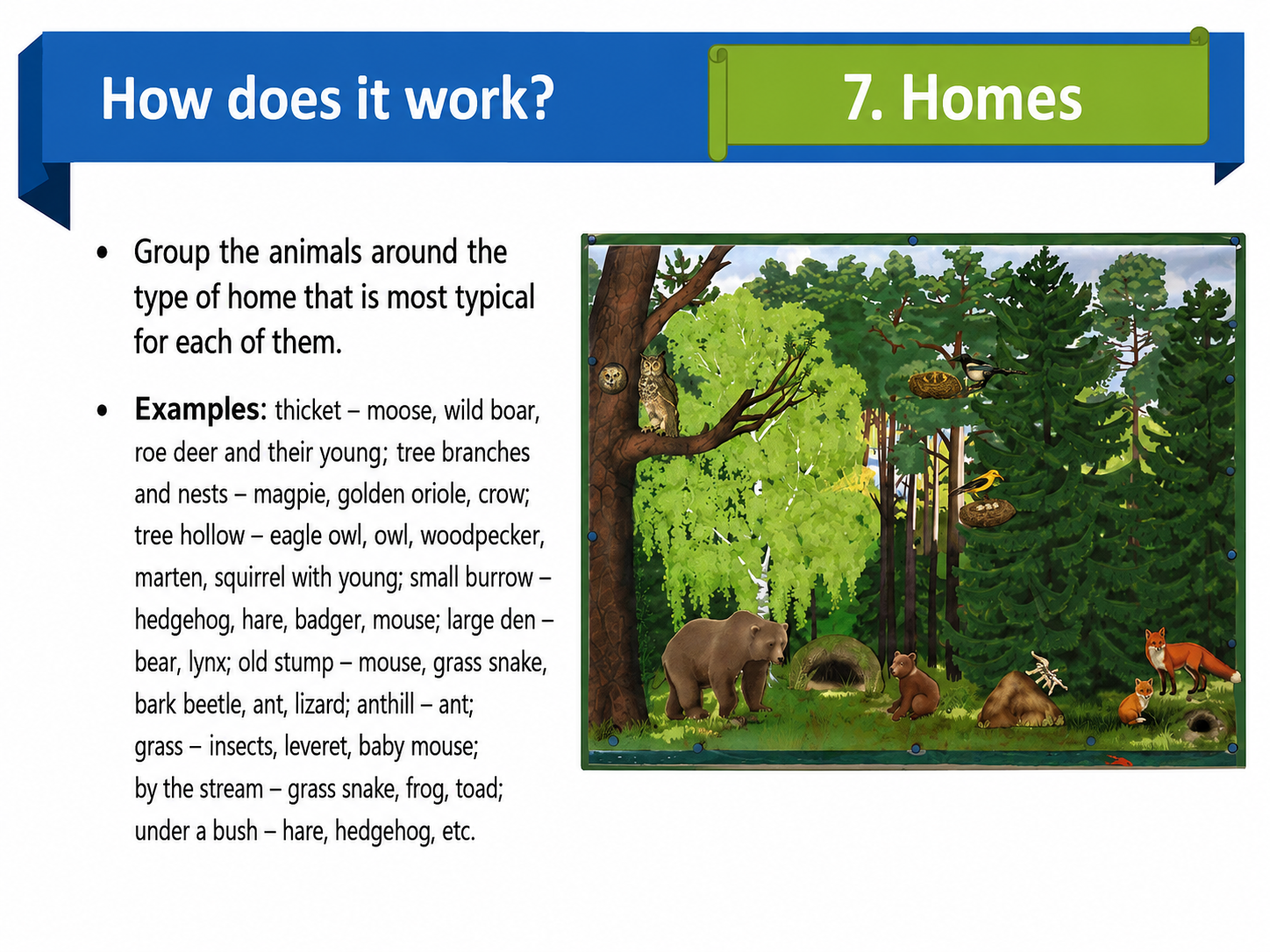 Large Magnetic Nature Game “Forest”