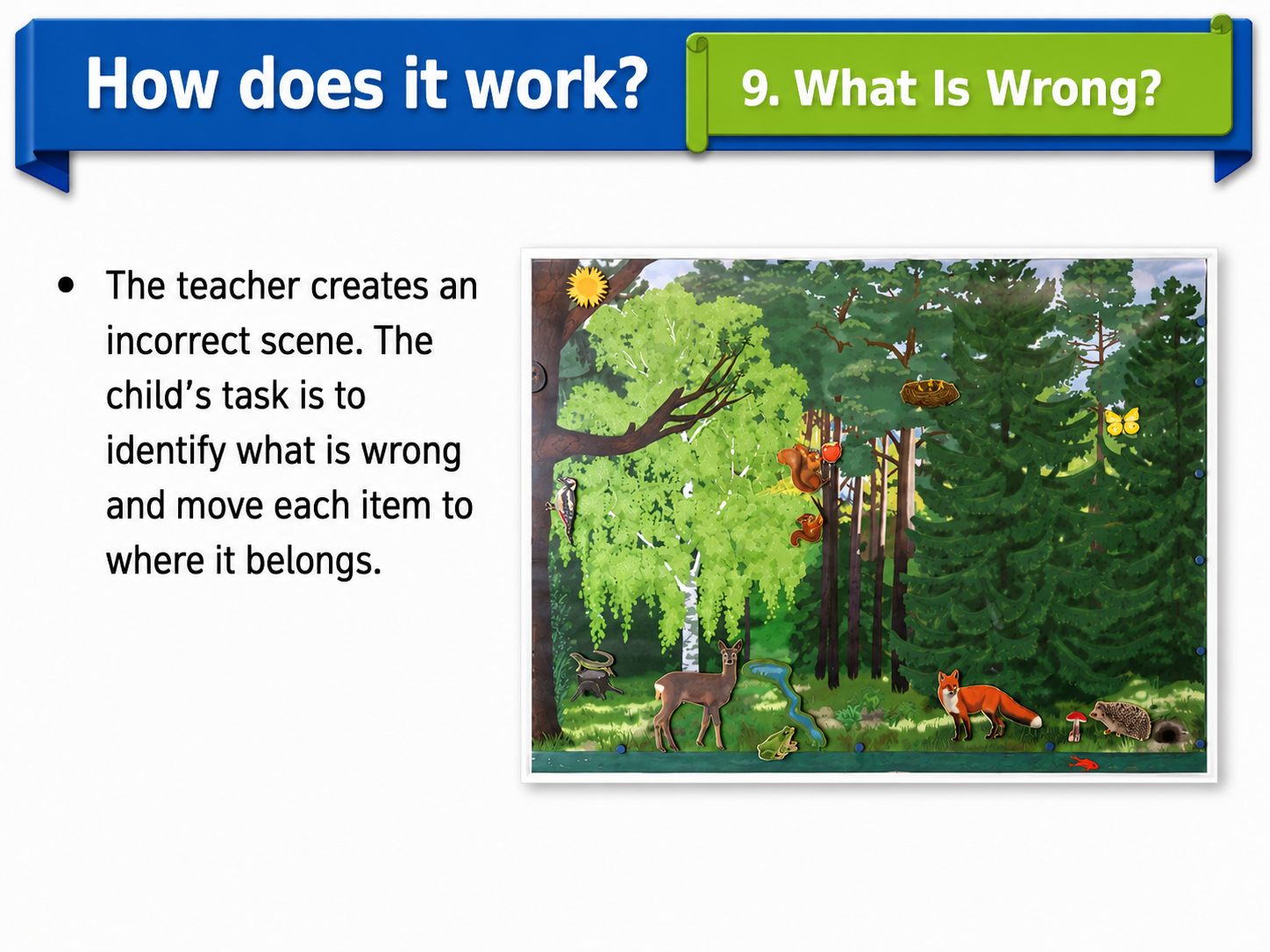 Large Magnetic Nature Game “Forest”