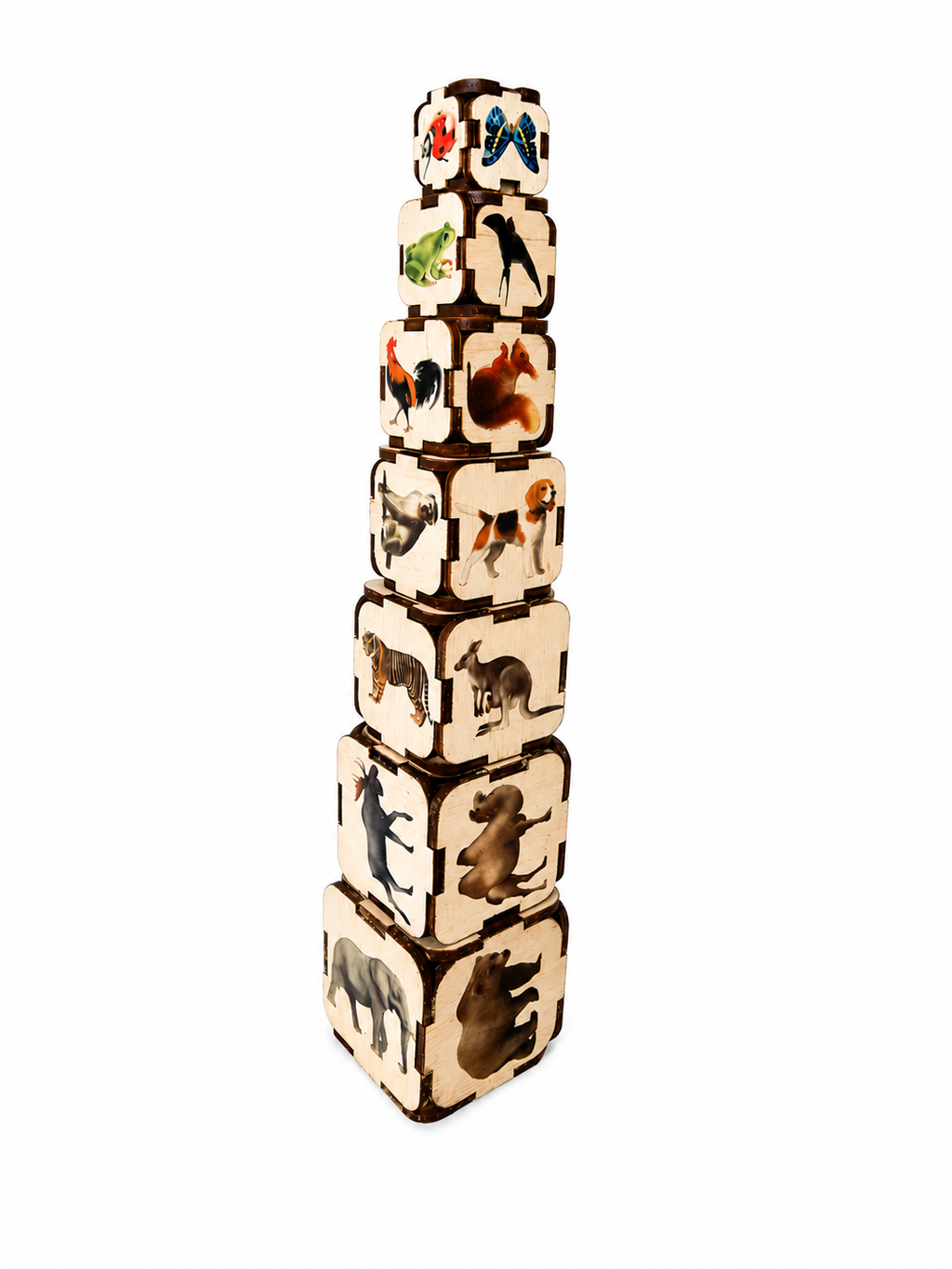 Animal Sound Blocks – Explore Animals, Sound, Size &amp; Sensory Learning Through Play | Eduletto