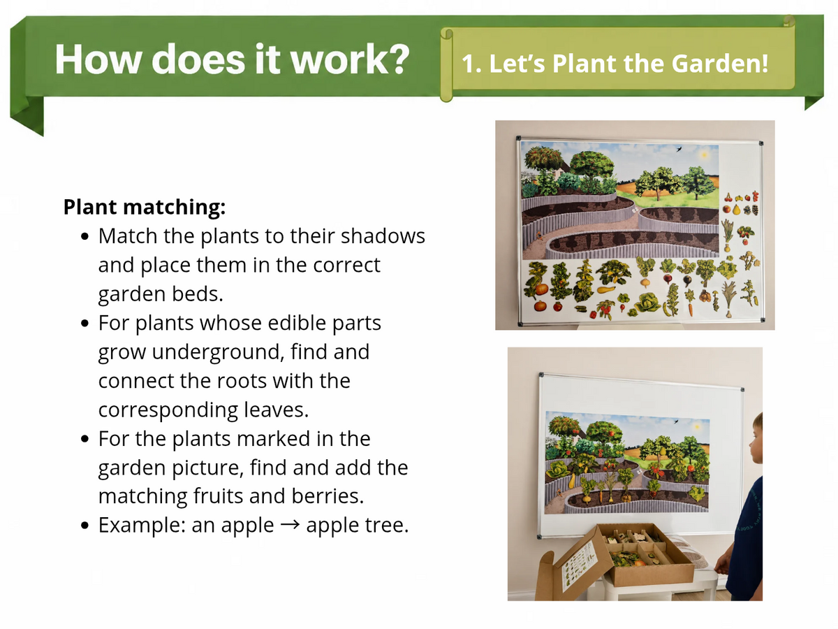 Large Nature Game “The Garden”