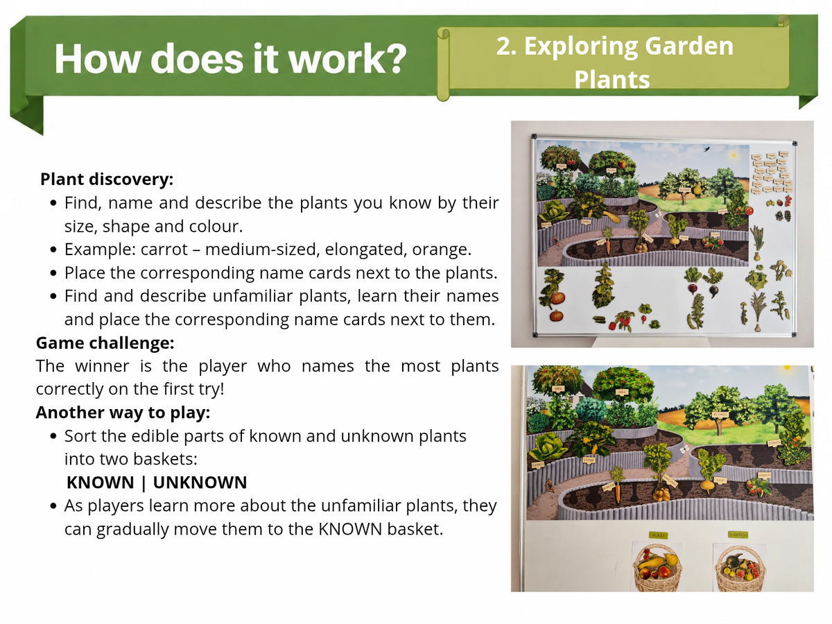 Large Nature Game “The Garden”