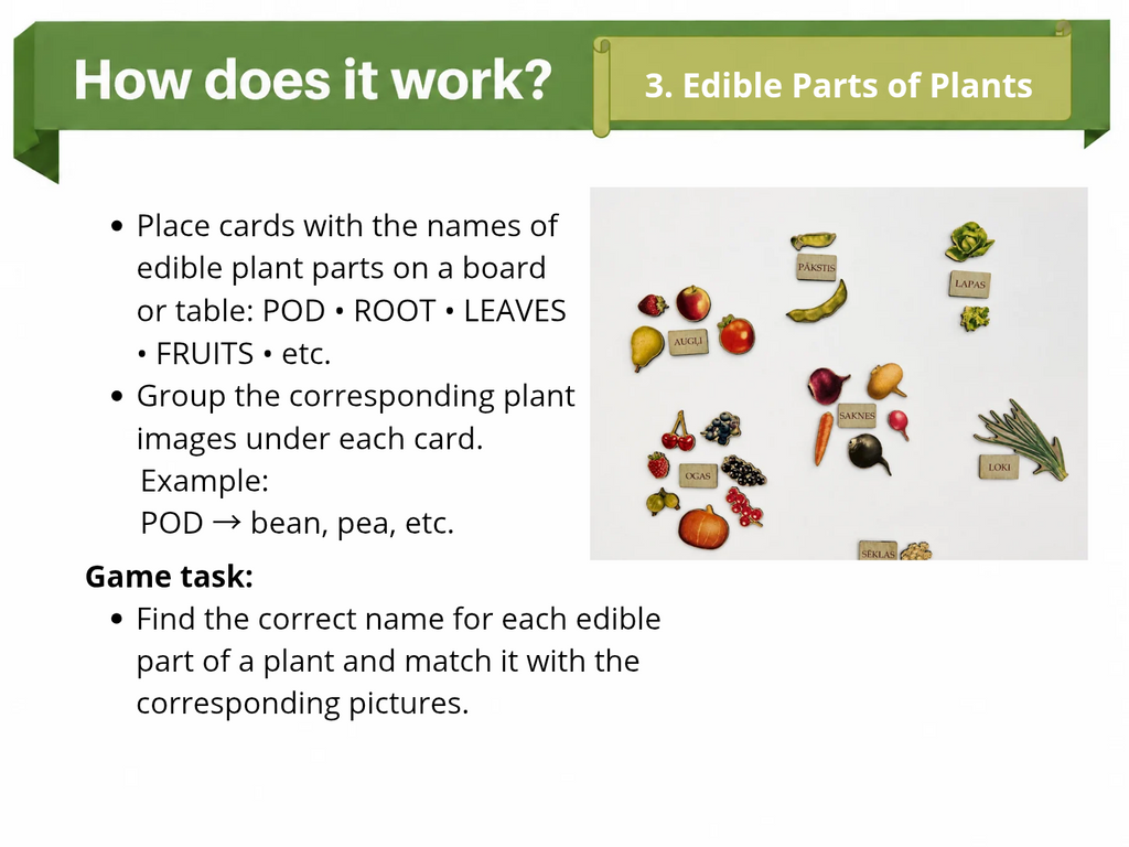Large Nature Game “The Garden”