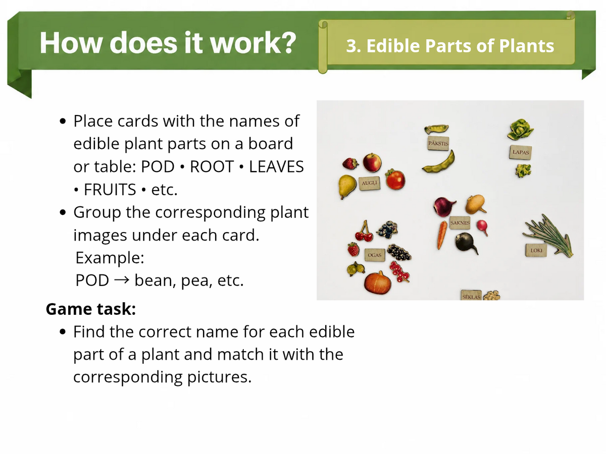 Large Nature Game “The Garden”