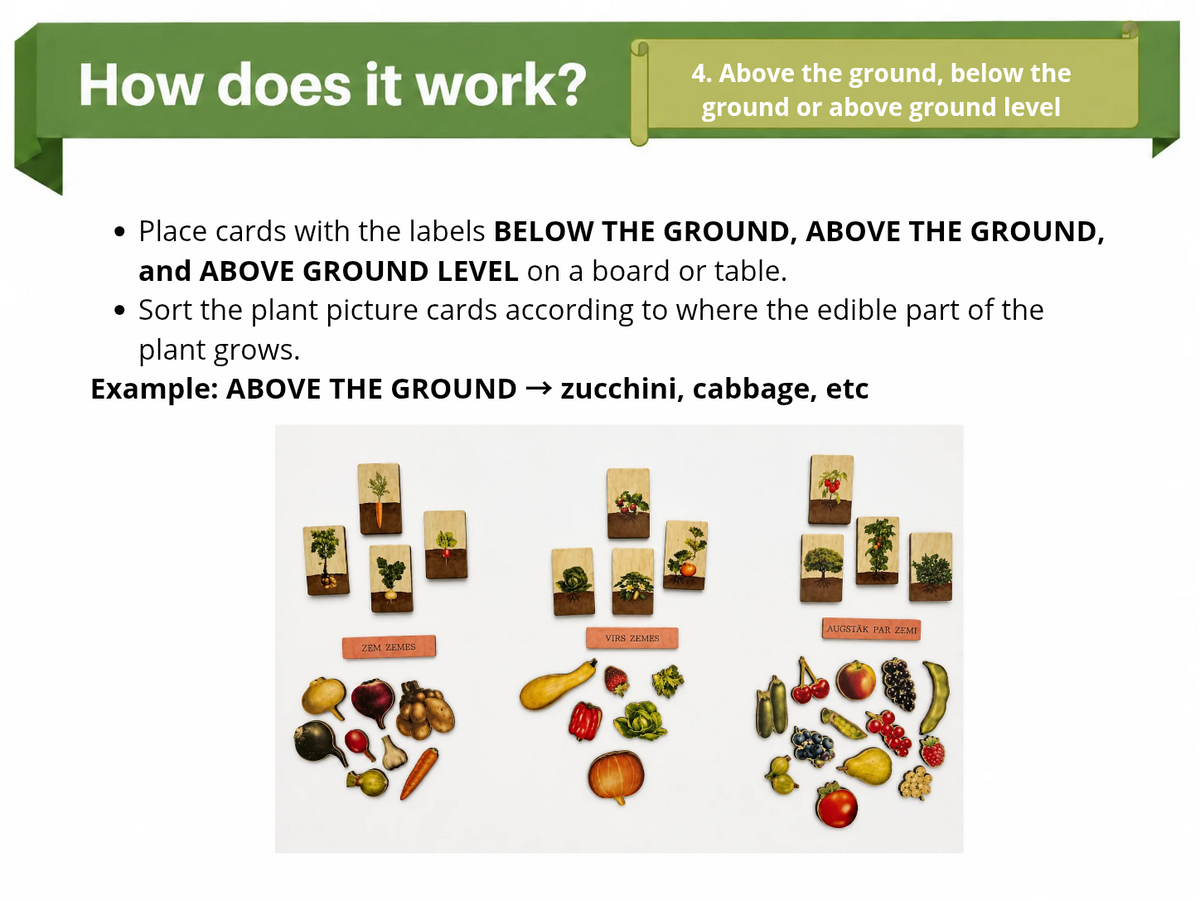 Large Nature Game “The Garden”