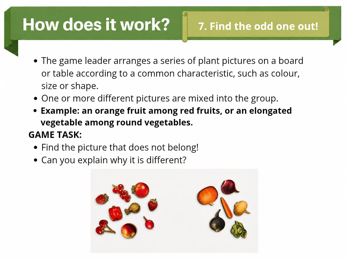 Large Nature Game “The Garden”