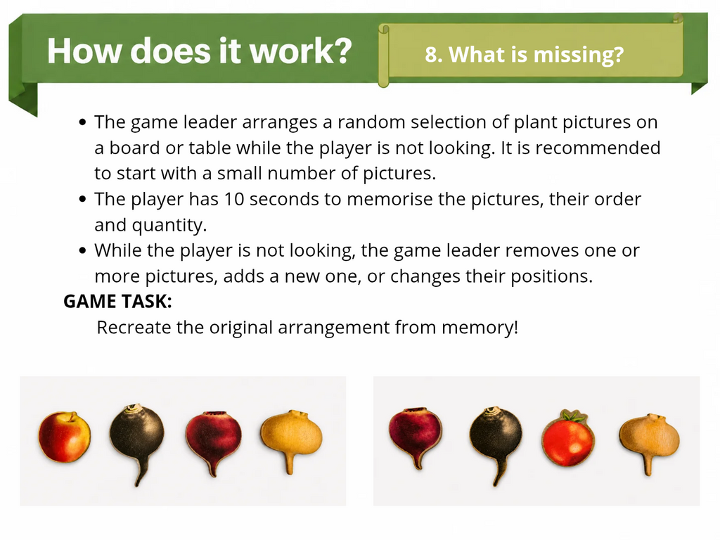 Large Nature Game “The Garden”