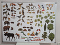Large Magnetic Nature Game “Forest”