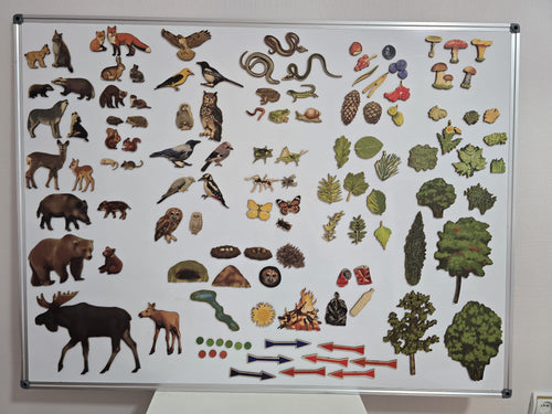 Large Magnetic Nature Game “Forest”