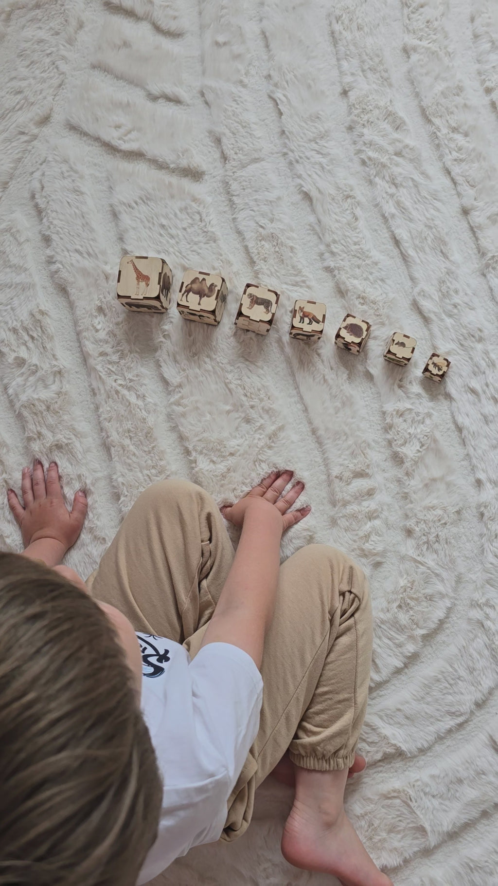 Animal Sound Blocks – Explore Animals, Sound, Size &amp; Sensory Learning Through Play | Eduletto